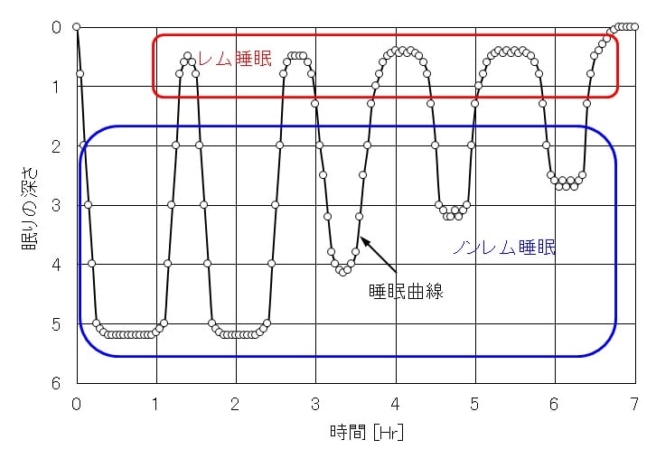 睡眠曲線・レム睡眠・ノンレム睡眠