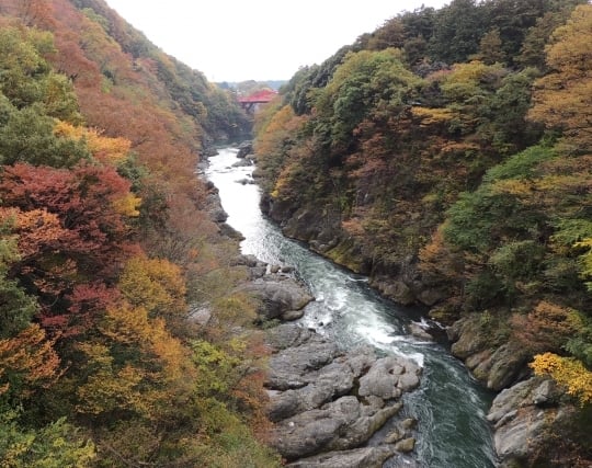 谷川の綺麗な水を飲む夢