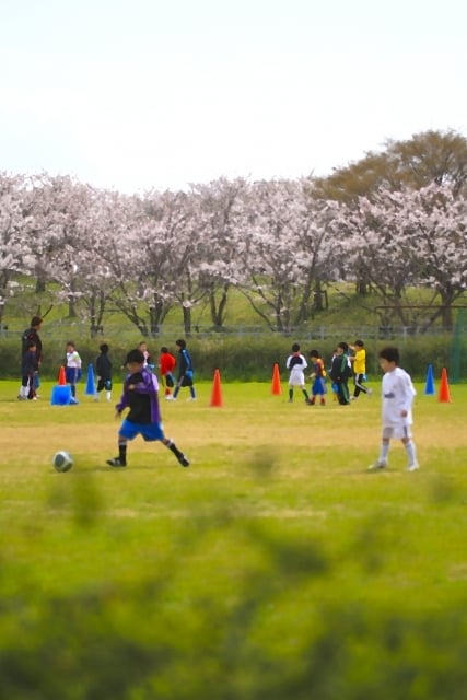 部活動をする夢