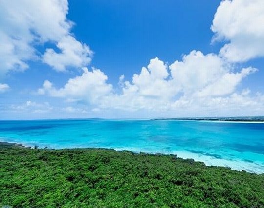 綺麗な海の夢