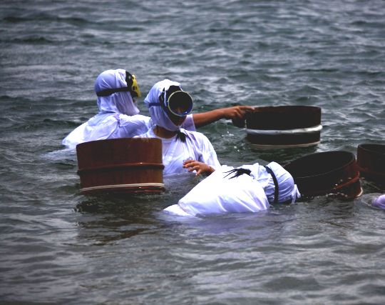 海女になって獲物を収穫する夢