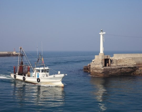 大海から防波堤の中に漁船が帰ってくる夢