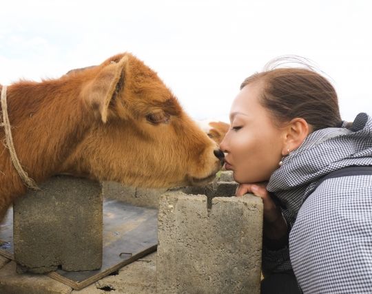 元カノにキスされる夢