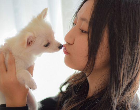 犬にキスされる夢