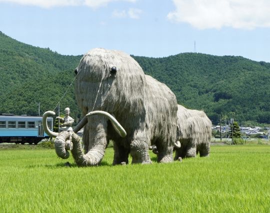 マンモスが現れて喜ぶ夢