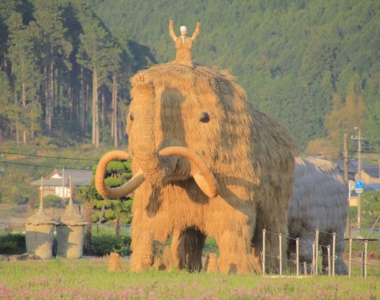 マンモスに乗る夢