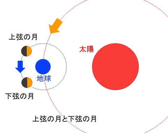 上弦の月と下弦の月