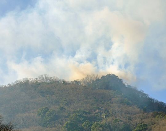 山火事が印象的な夢