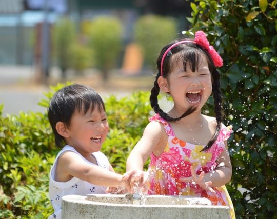 楽しい夏の夢