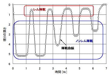 睡眠曲線・レム睡眠・ノンレム睡眠