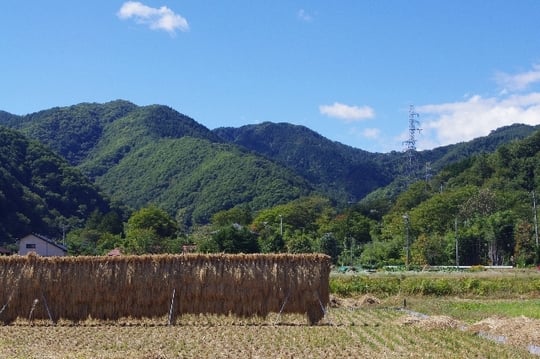 田舎の夢