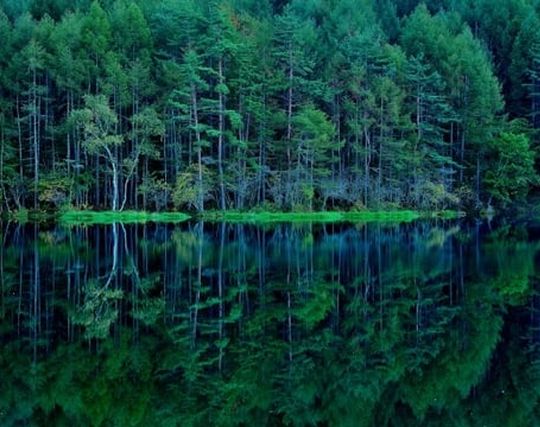 水面が穏やかな池の夢