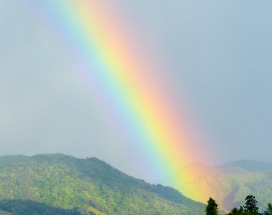 雨上がりの虹の夢