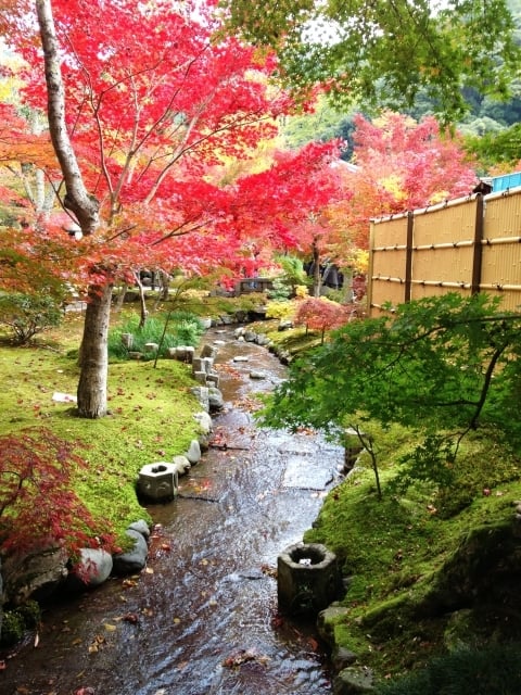 川のせせらぎが印象的な夢