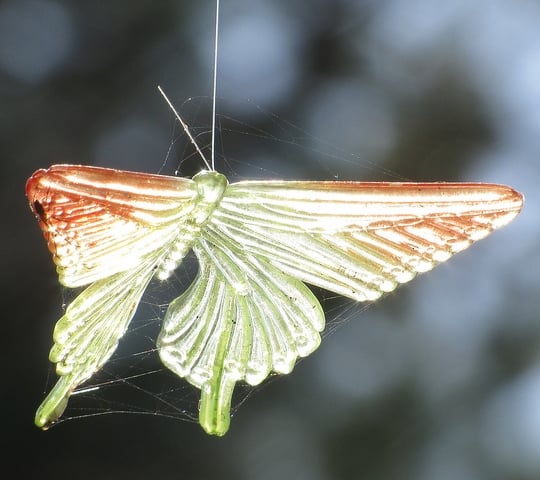 蜘蛛の糸が体に絡む夢