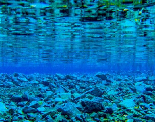 湖の中で何かを拾う夢