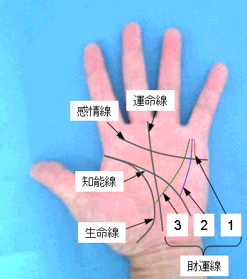 財運線の見方