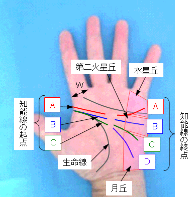 知能線の起点と終点の選択