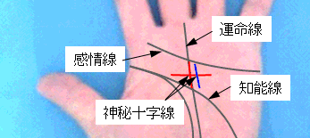 神秘十字線の有無の選択