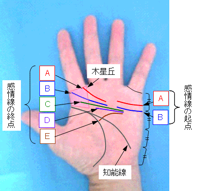 感情線の起点と終点の選択