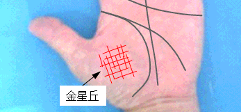 金星丘の格子状の線の選択