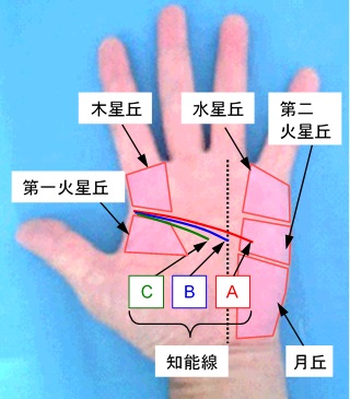 知能線（頭脳線）の長さの選択