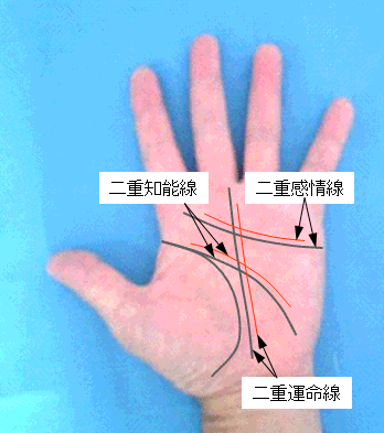 二重知能線・二重感情線・二重運命線の見方