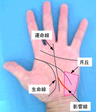 影響線の本数の選択