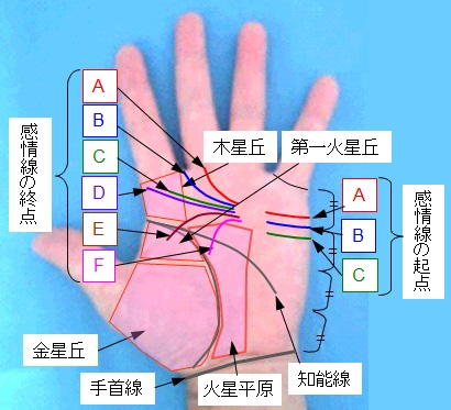 感情線の起点と終点の選択