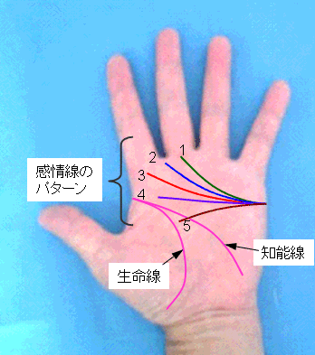 感情線の終点の見方