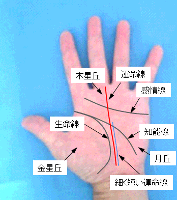 運命線の濃淡・長さの見方