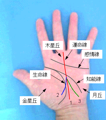 運命線の始点の見方