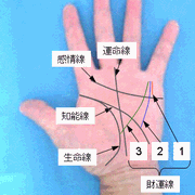 財運線の見方