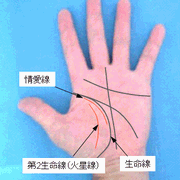 二重線・火星線・情愛線の見方