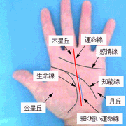 運命線の見方