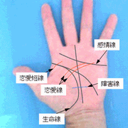 恋愛線の見方