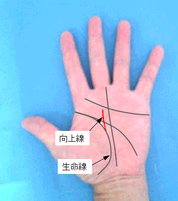 向上線の見方