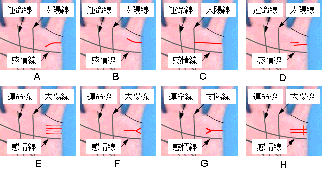 様々な結婚線の見方