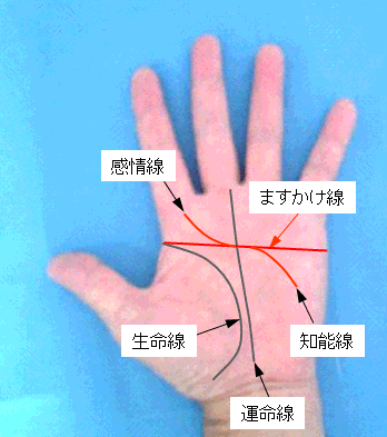 変型ますかけ線の見方