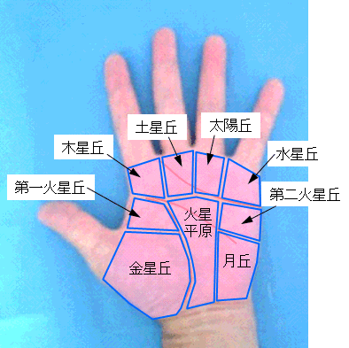 掌丘の発達具合の選択