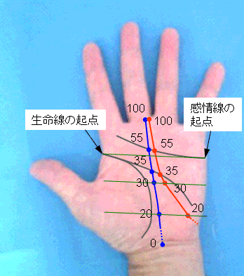 月丘を起点とする運命線の流年法の見方