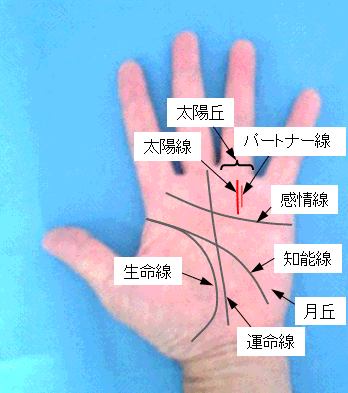 太陽線の濃淡・長さ・本数の見方