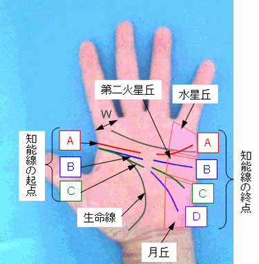 知能線の起点と終点の選択