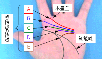 感情線の終点の選択