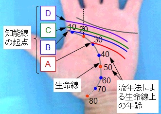 知能線（頭脳線）の起点の選択