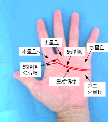 感情線の濃淡・長さ・支線の見方