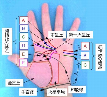 感情線の起点と終点の選択