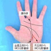 影響線の見方