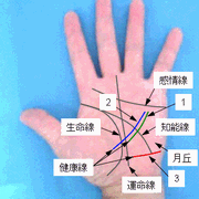 健康線の見方