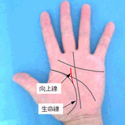 向上線の見方